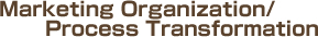 Marketing Organization/Process Transformation